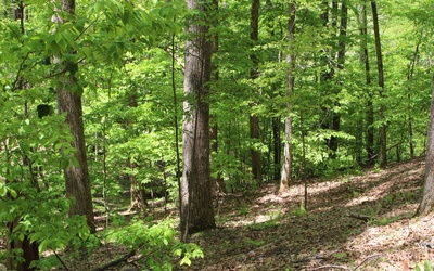 L M26 Sleepy Hollow Road