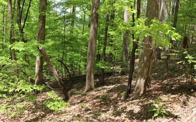 L M26 Sleepy Hollow Road