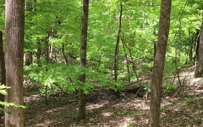 L M26 Sleepy Hollow Road
