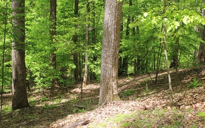 L M26 Sleepy Hollow Road