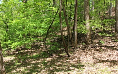 L M26 Sleepy Hollow Road