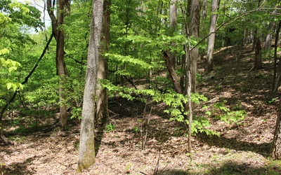 L M26 Sleepy Hollow Road
