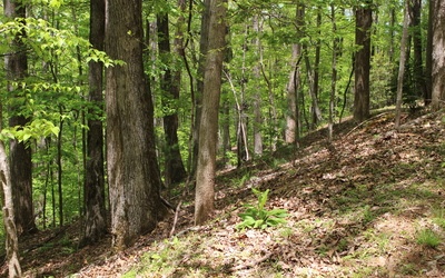 L M26 Sleepy Hollow Road