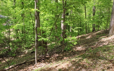 L M26 Sleepy Hollow Road