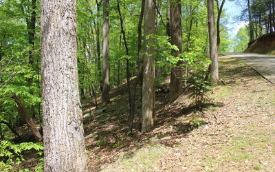 L M26 Sleepy Hollow Road