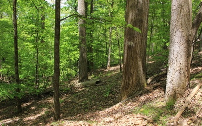 L M26 Sleepy Hollow Road
