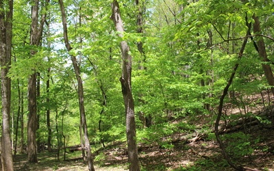 L M26 Sleepy Hollow Road