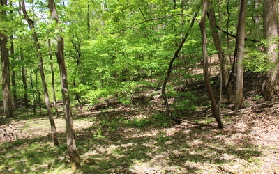 L M26 Sleepy Hollow Road