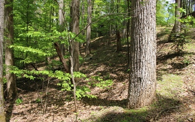 L M26 Sleepy Hollow Road