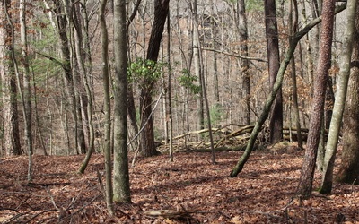 Mohawk Trail - Lt220