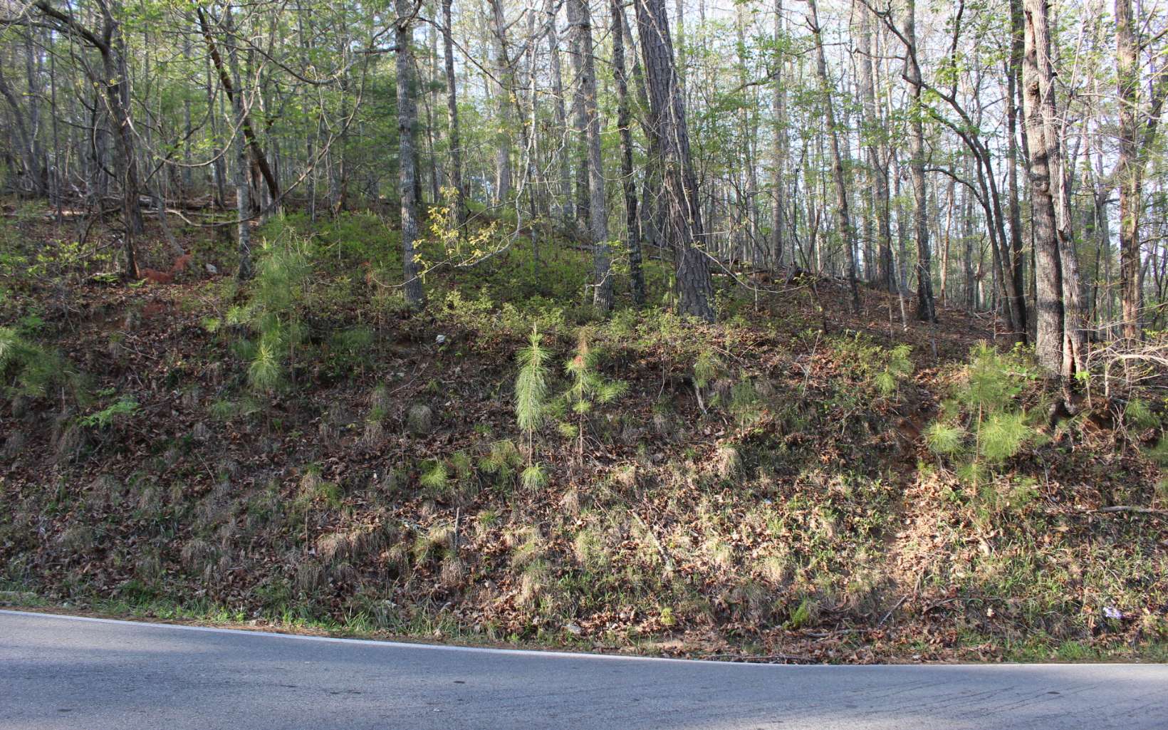 Lemmon Dr. Lt 1753