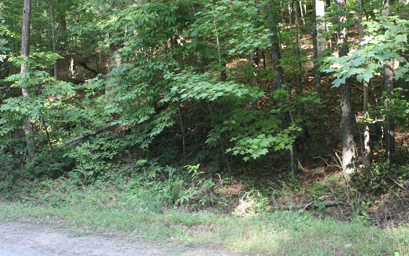 LT577 Ledger Drive