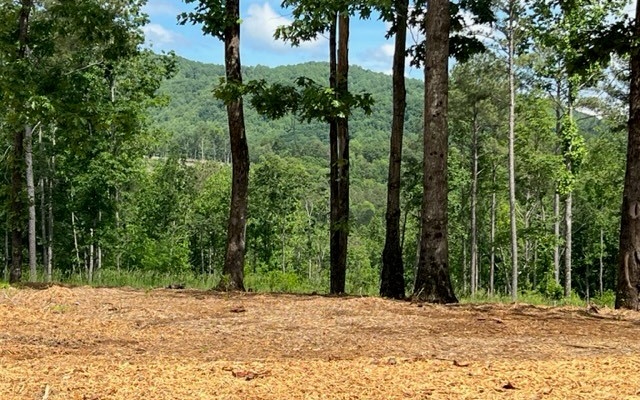1450 Twisted Oak Road