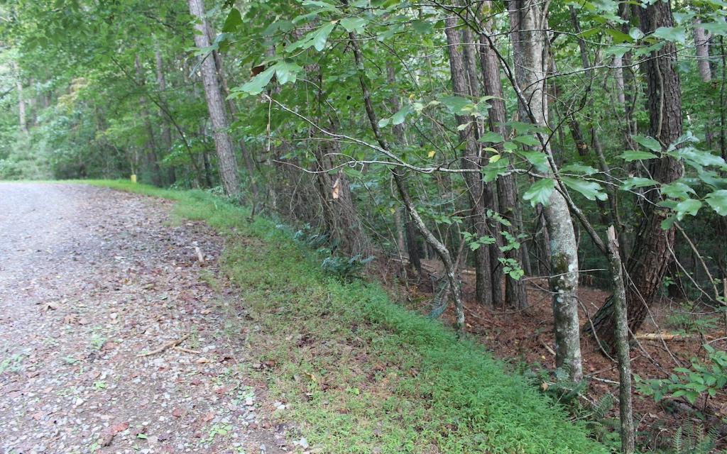 Lot 1111 Molly Circle
