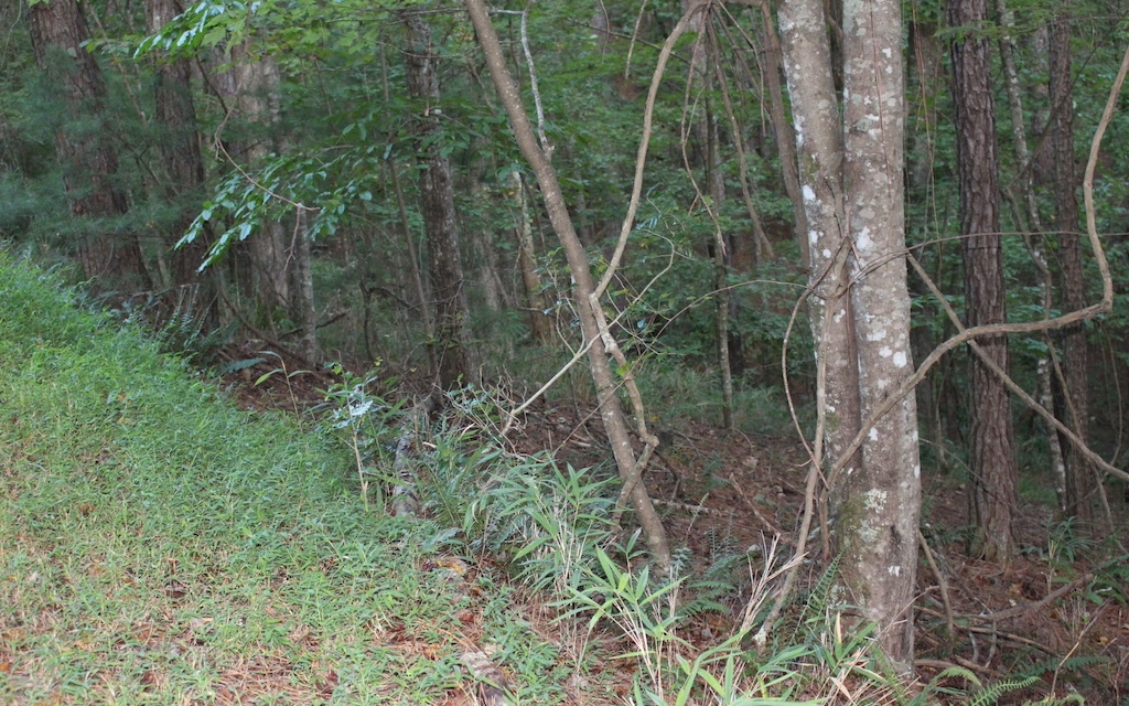 Lot 1111 Molly Circle
