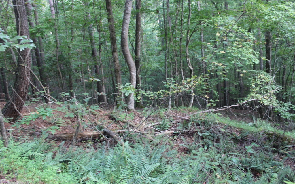 Lot 1111 Molly Circle