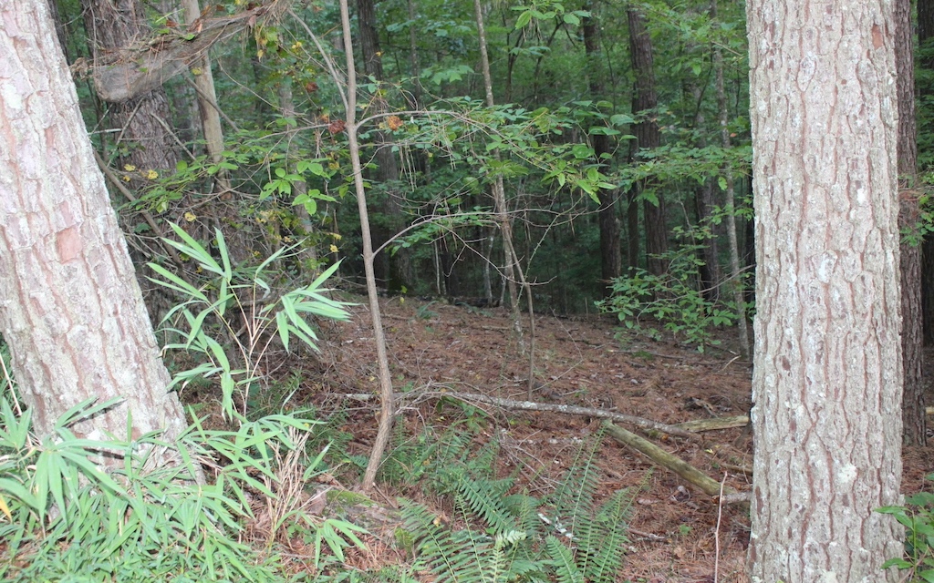 Lot 1111 Molly Circle