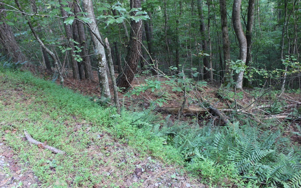 Lot 1111 Molly Circle