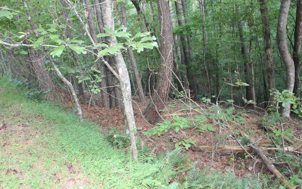 Lot 1111 Molly Circle
