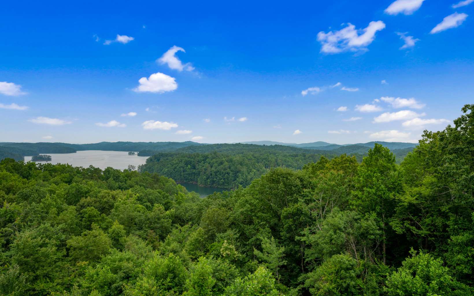 103 Carters Cove