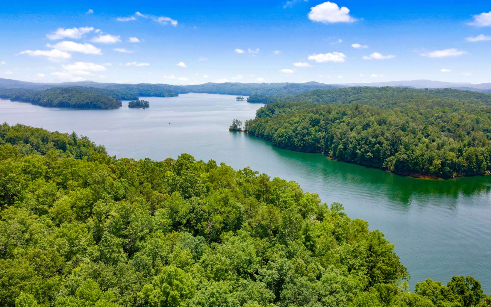 103 Carters Cove