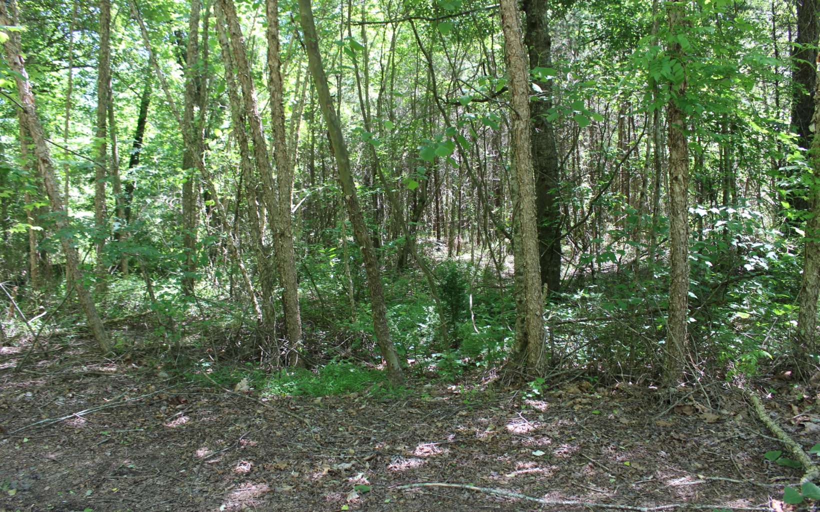 LT 43 West River Trace