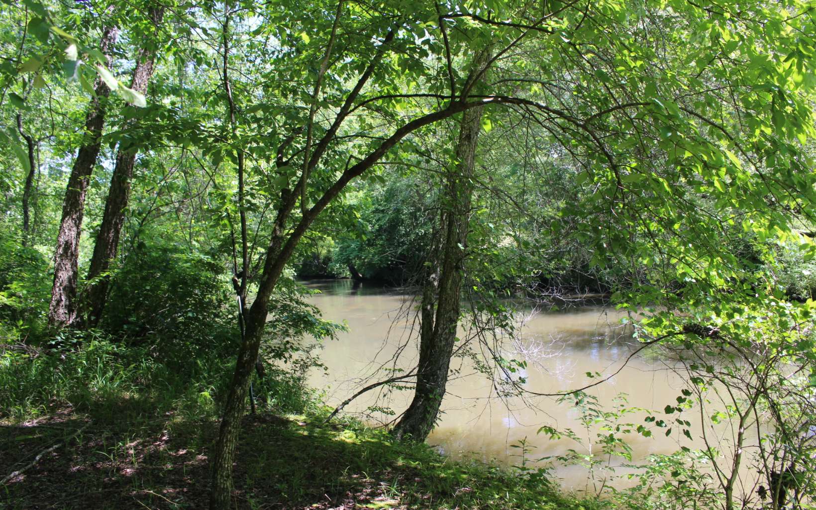 LT 43 West River Trace
