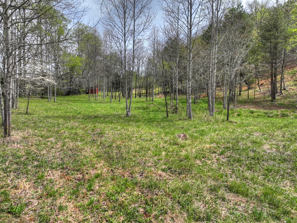139 Cedar Lane