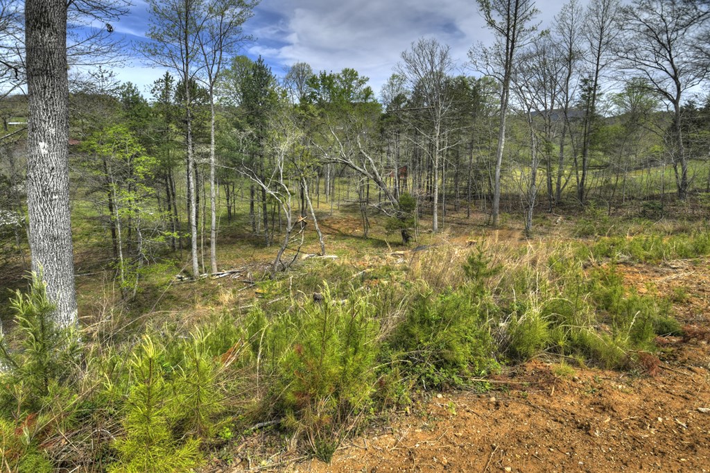 139 Cedar Lane