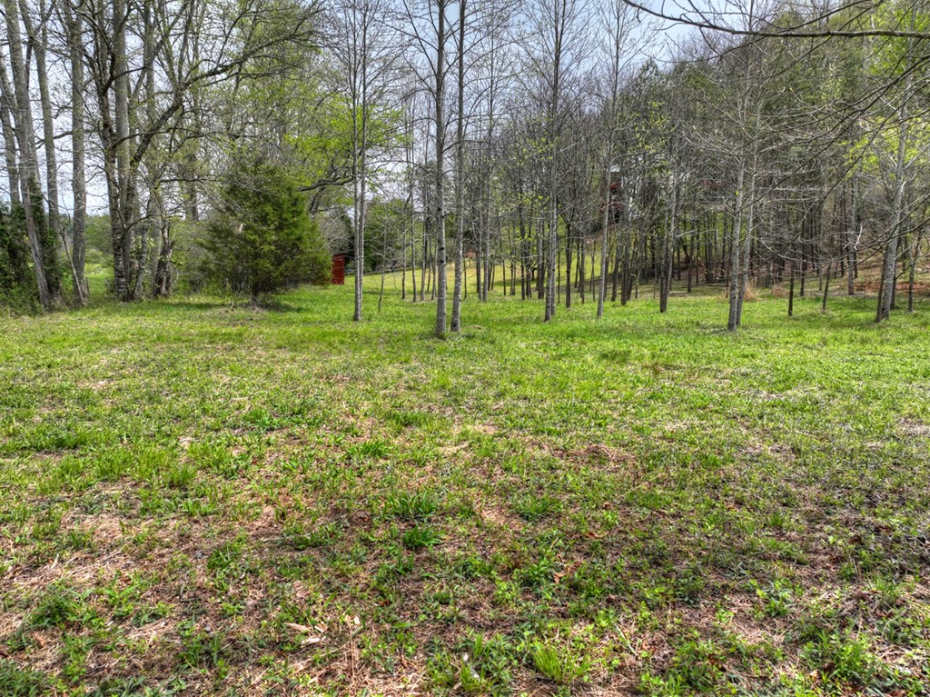 139 Cedar Lane