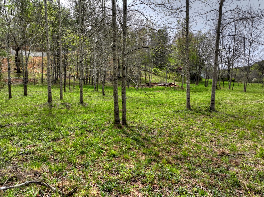 139 Cedar Lane
