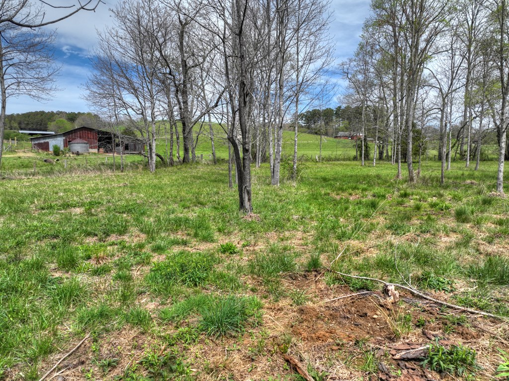 139 Cedar Lane