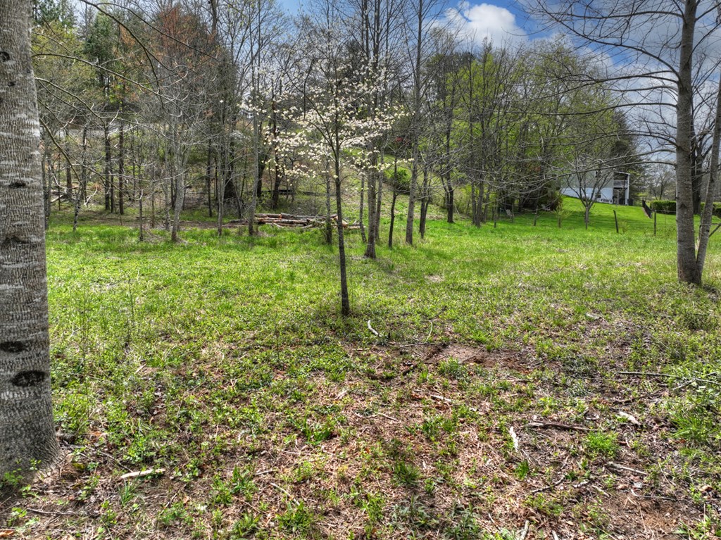 139 Cedar Lane
