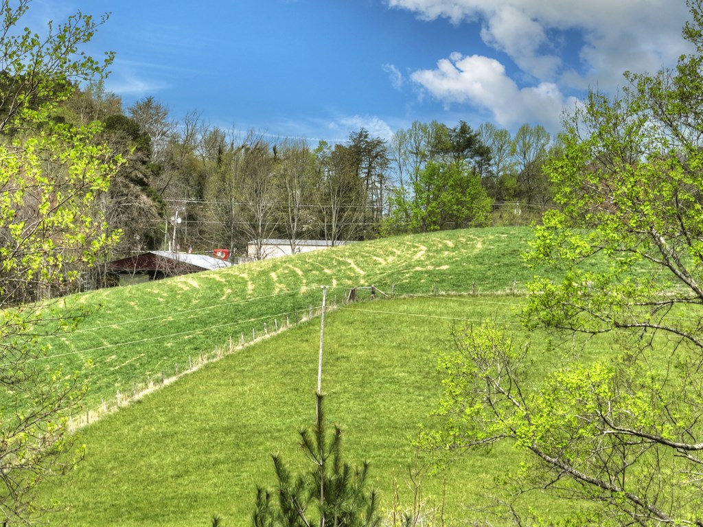 139 Cedar Lane