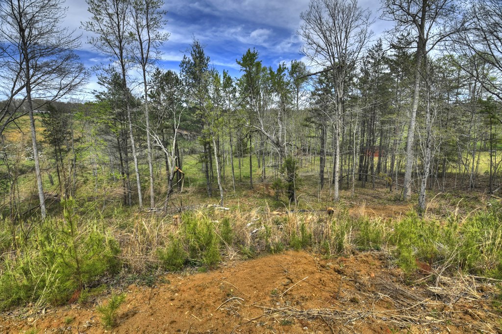 139 Cedar Lane