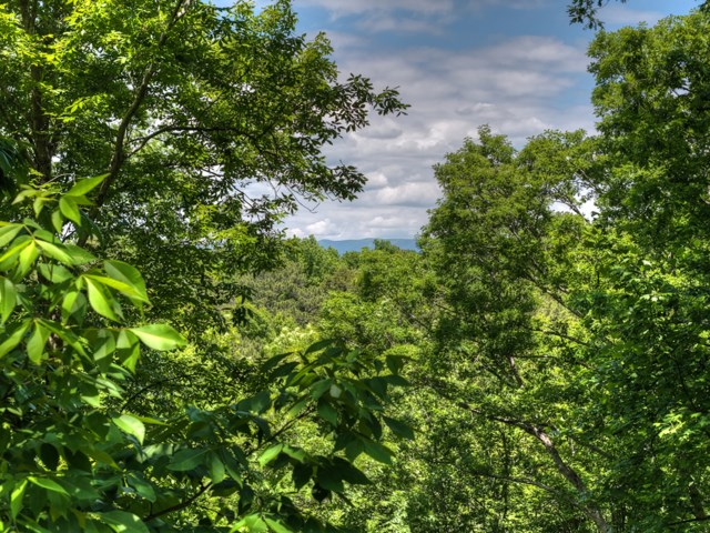 565 Catawba Circle