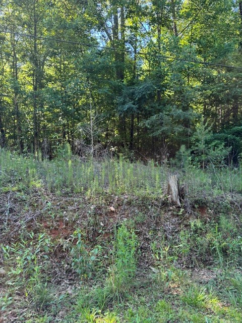 0 Southern Pines Drive
