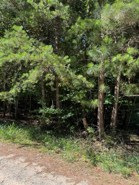 0 Southern Pines Drive