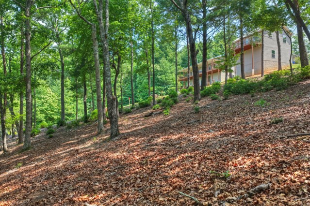 46 Sequoya Trl