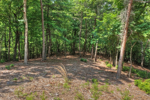 46 Sequoya Trl