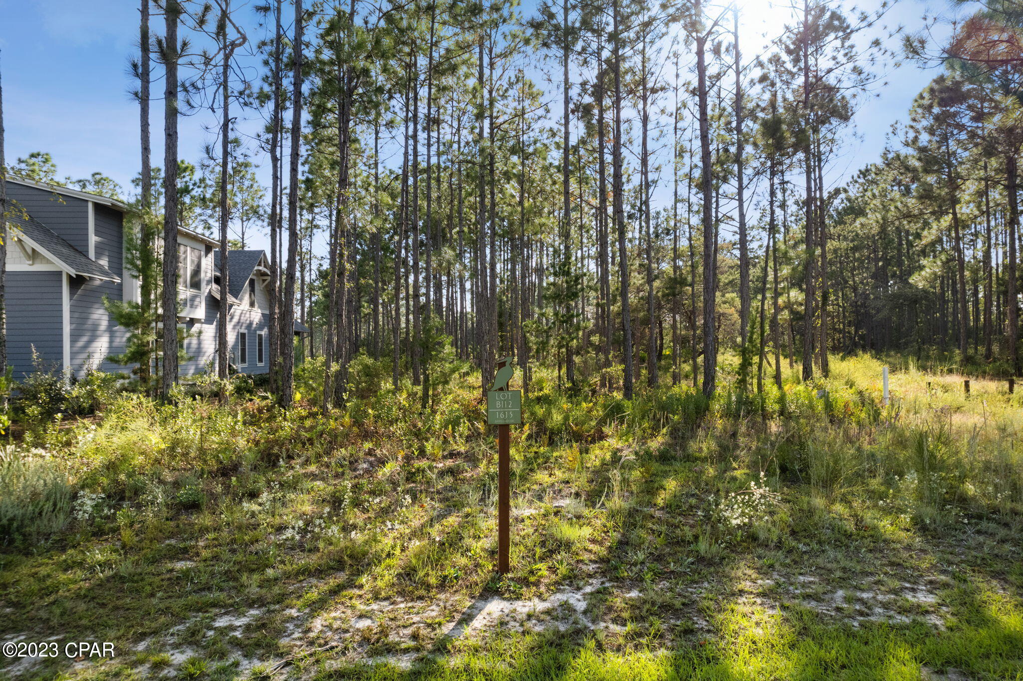 1615 Dayflower Drive