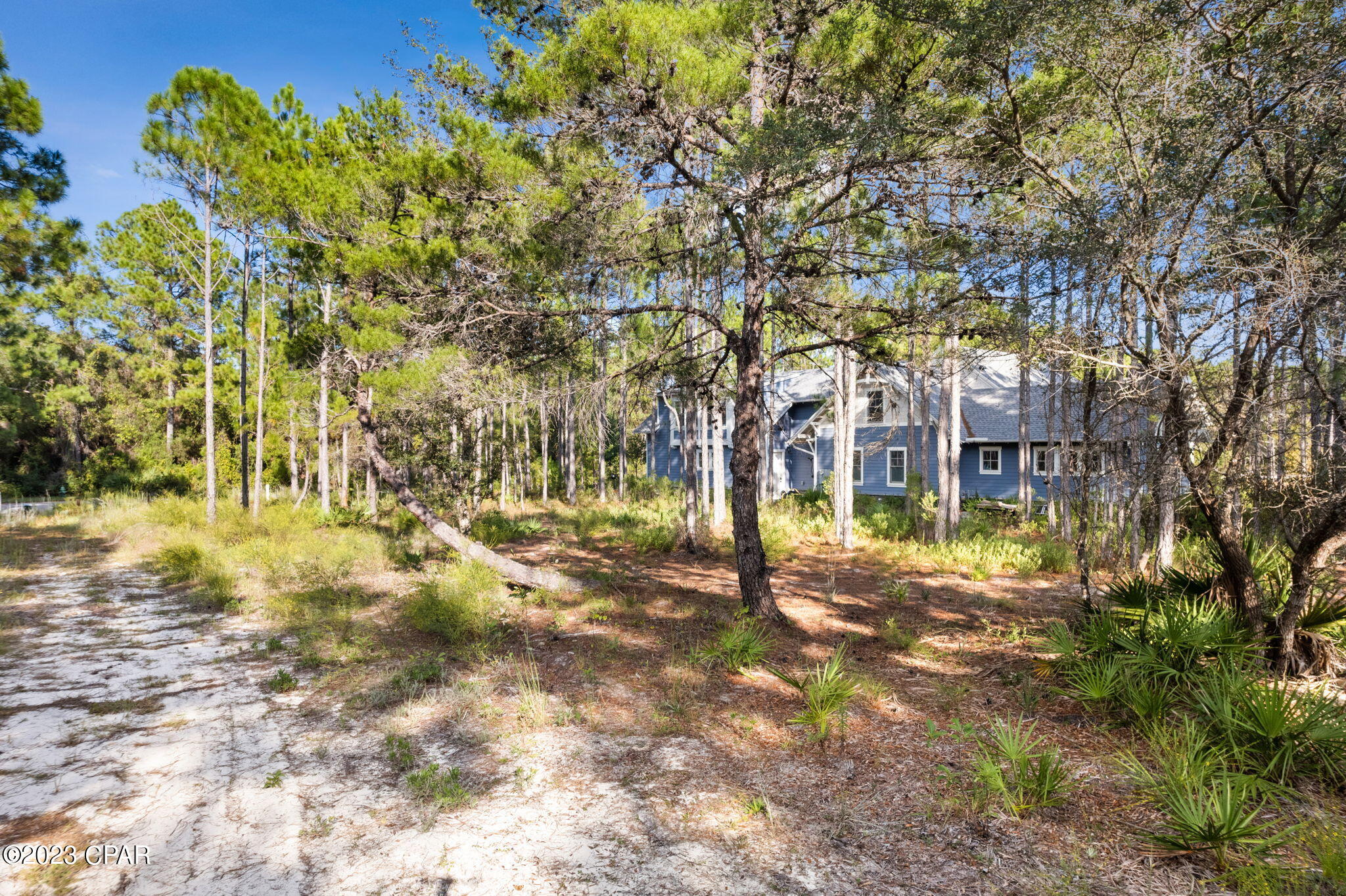 1615 Dayflower Drive