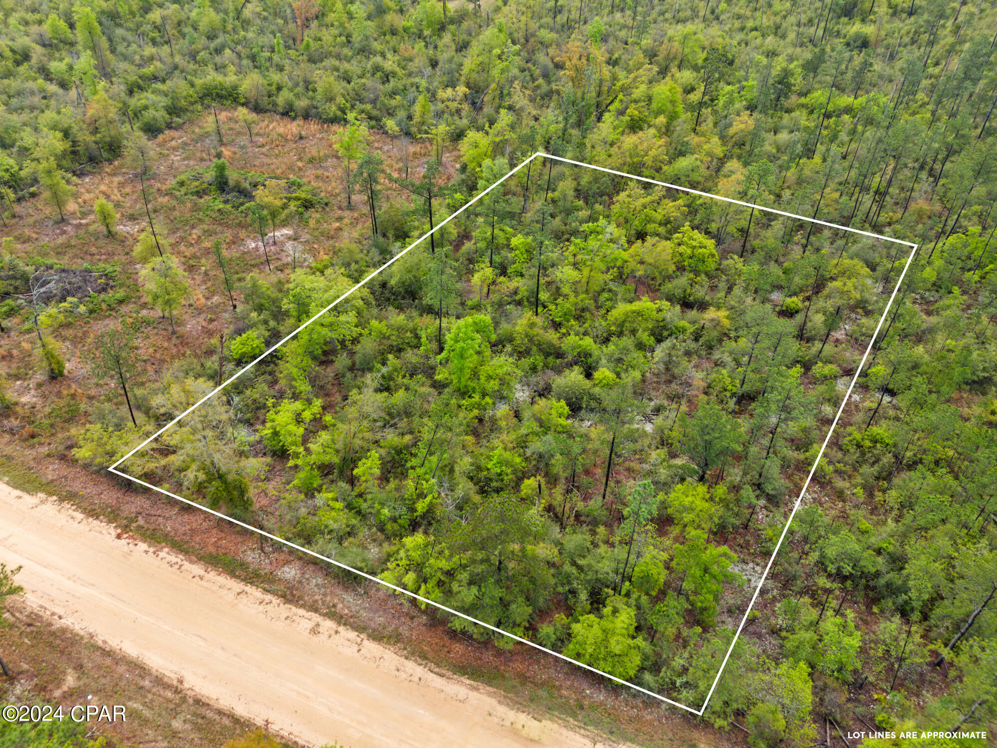 Lot 20 Lincoln Avenue