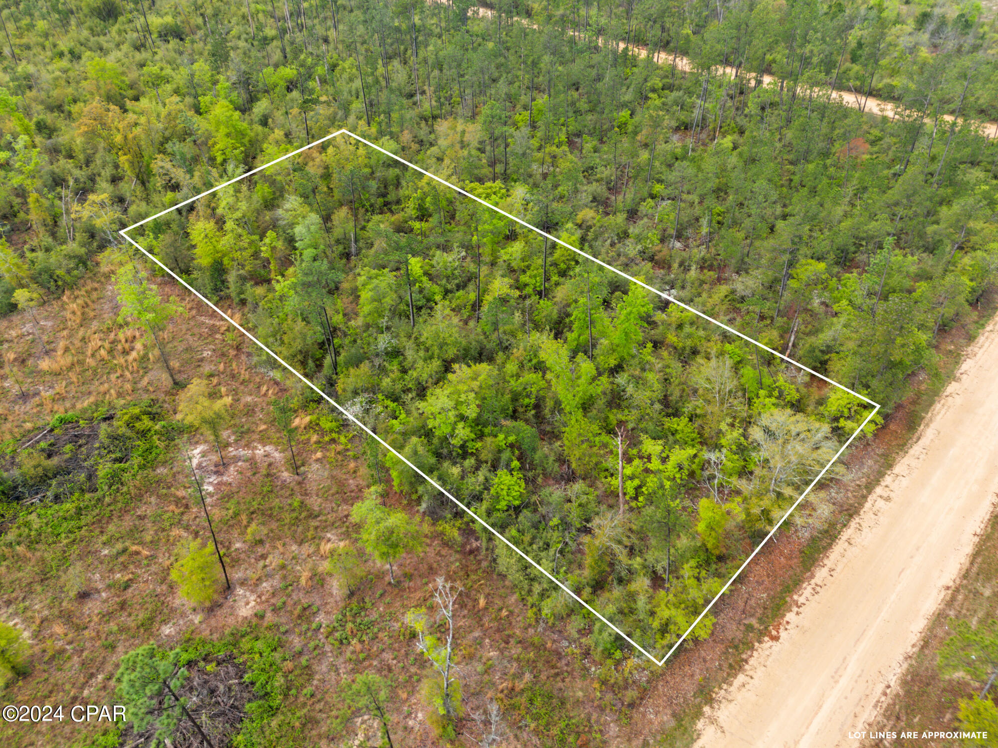 Lot 20 Lincoln Avenue