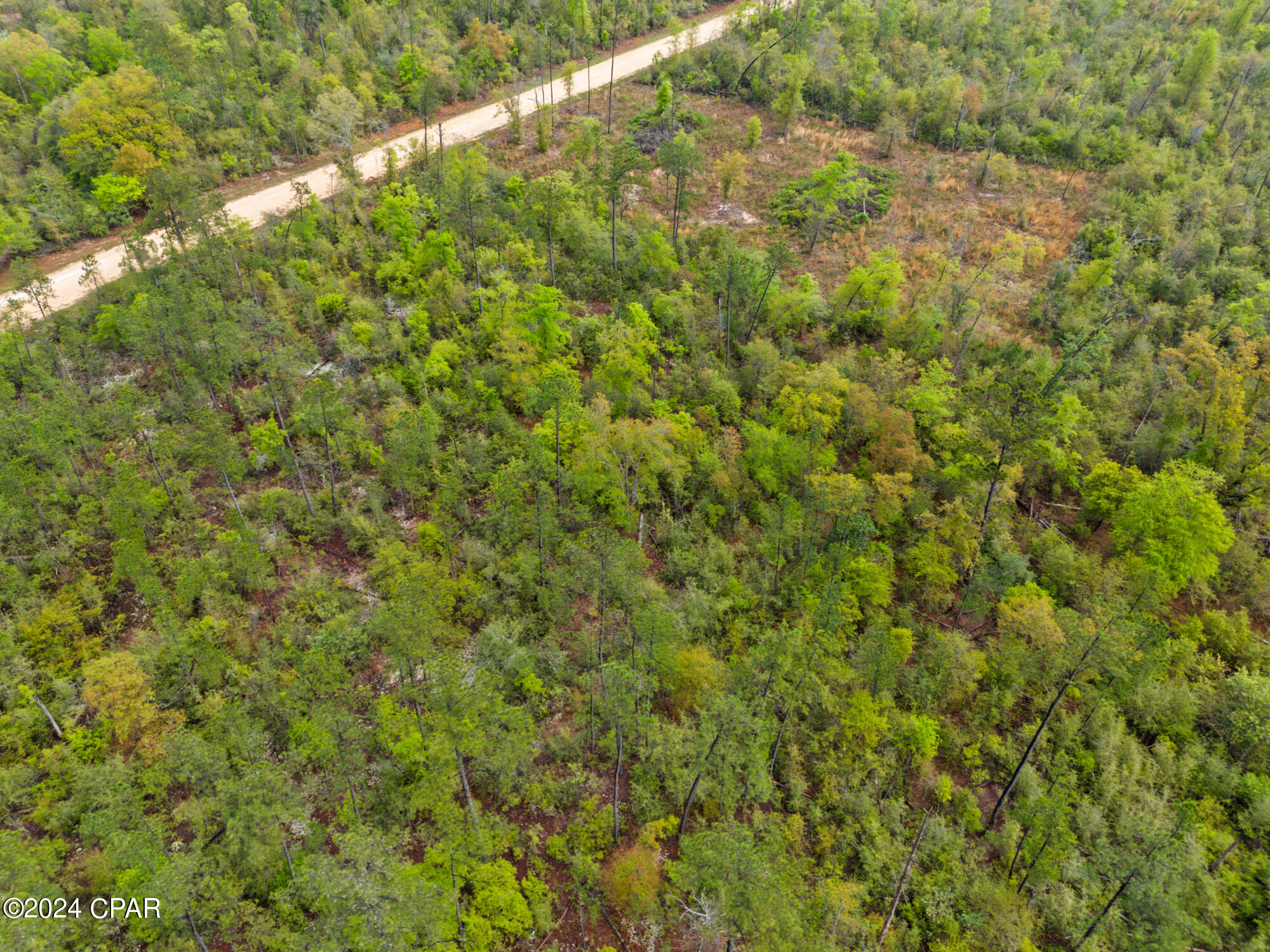 Lot 20 Lincoln Avenue