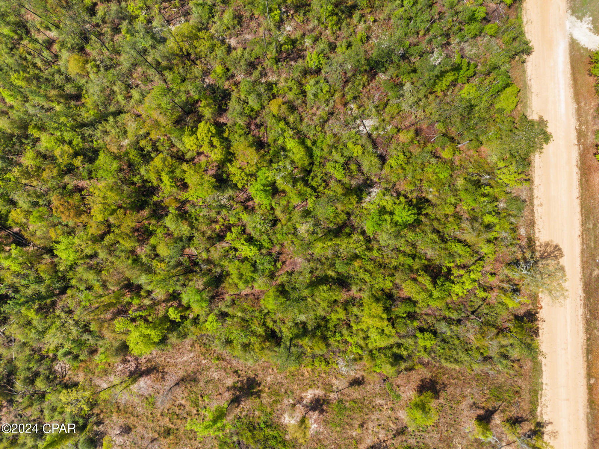 Lot 20 Lincoln Avenue