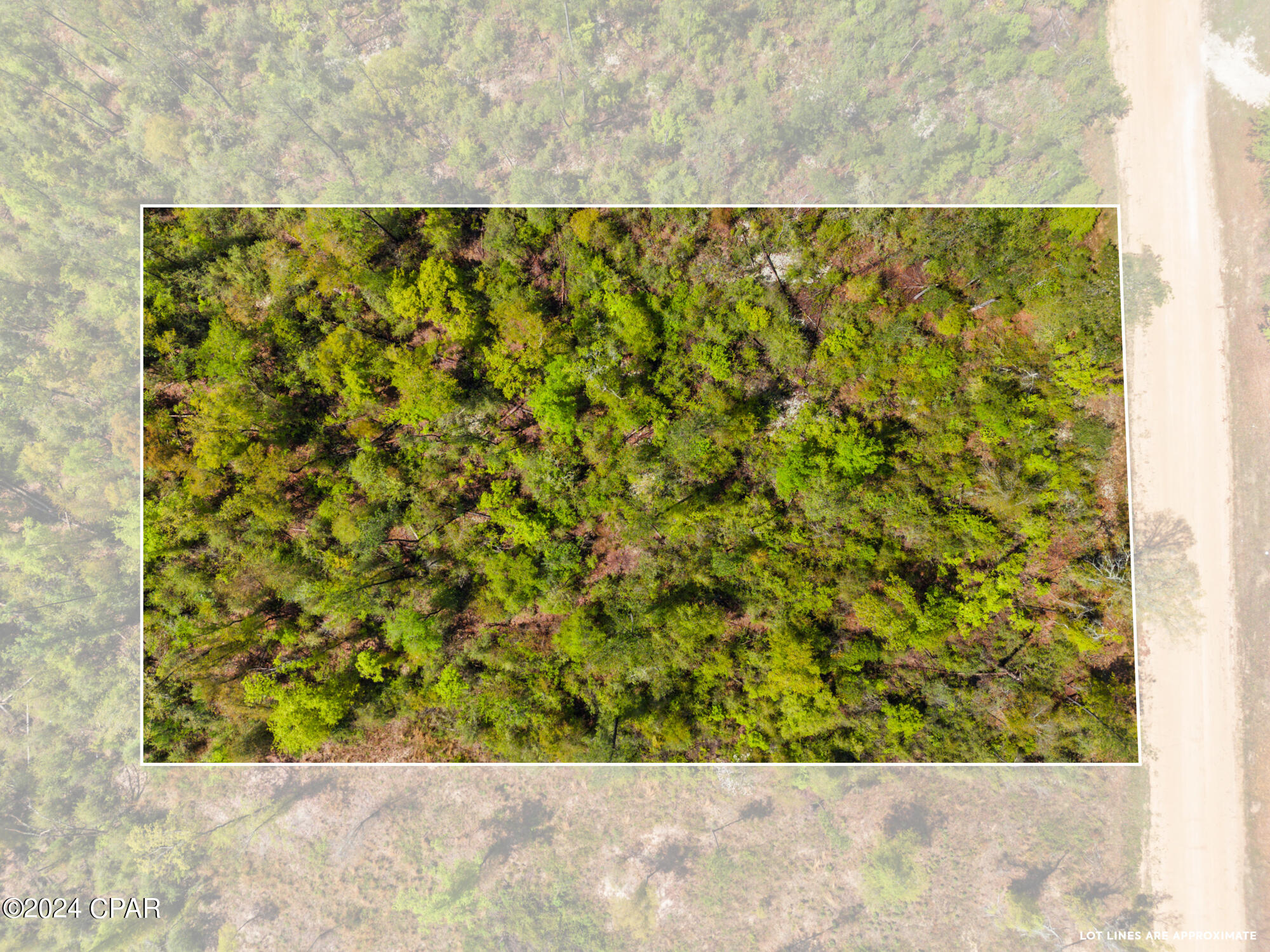 Lot 20 Lincoln Avenue