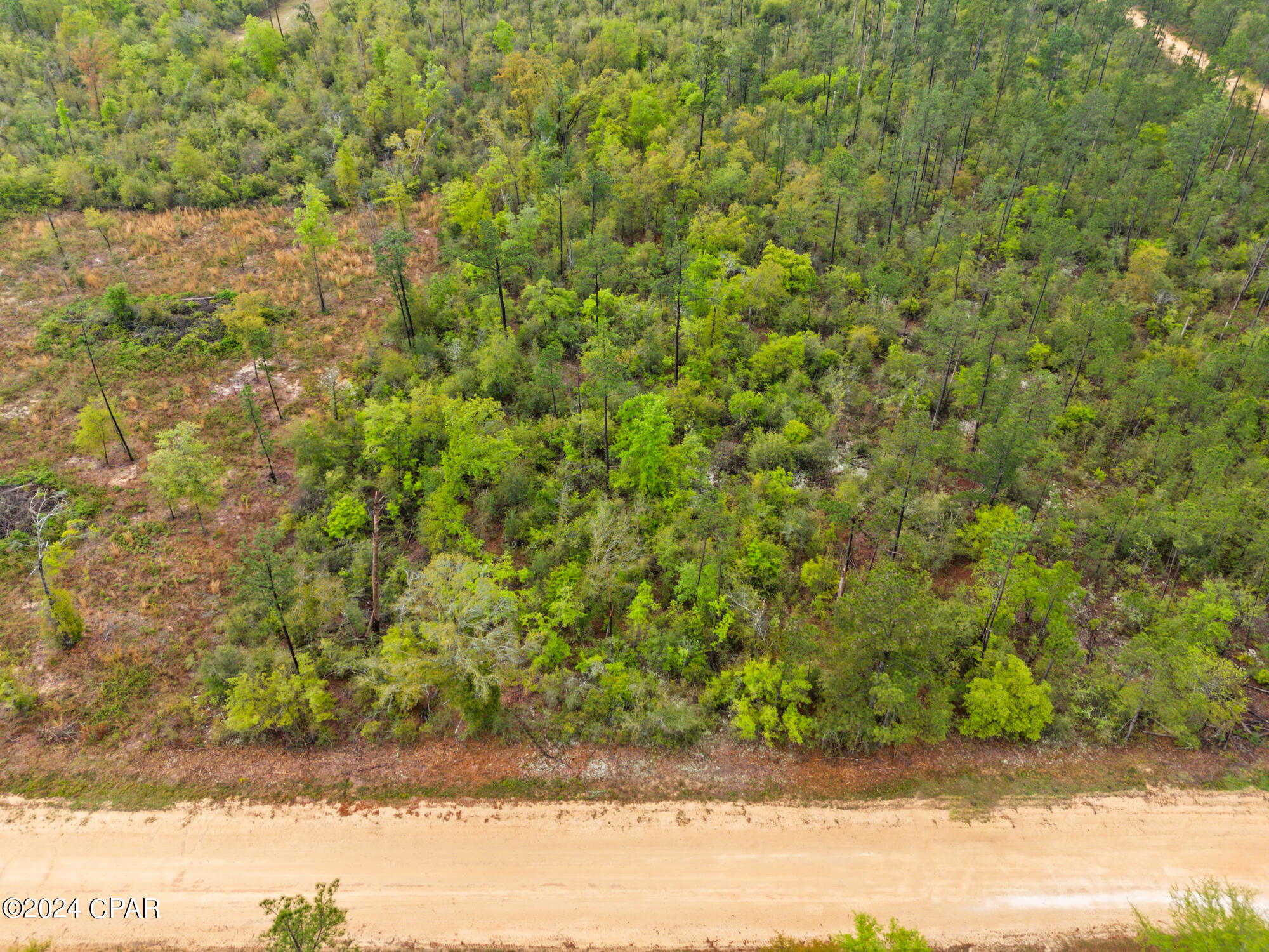 Lot 20 Lincoln Avenue