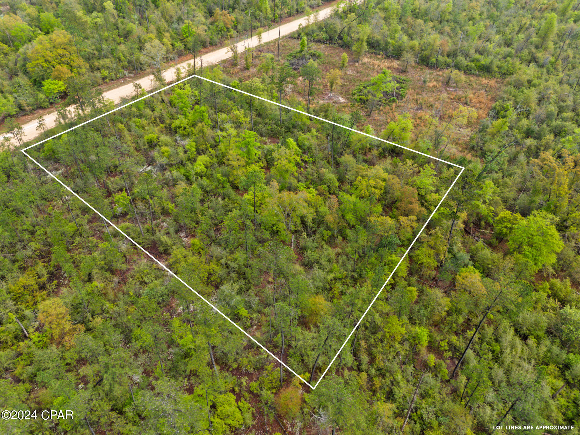 Lot 20 Lincoln Avenue