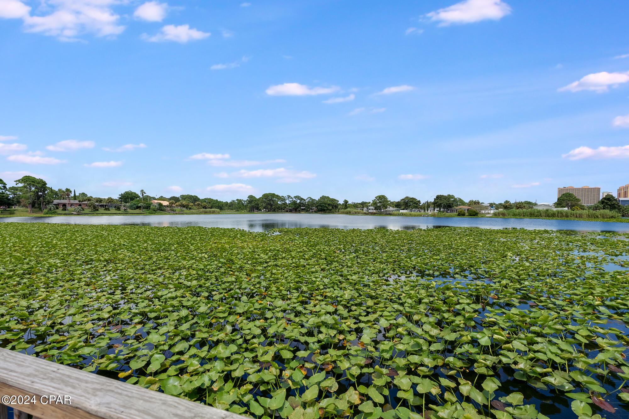 301 Lullwater Drive 439